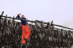 ノルウェー　ロフォーテン諸島