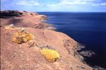 オーストラリア　カンガルー島