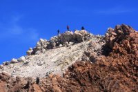 カナリア諸島　テネリフェ島