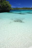 ニューカレドニア　イル･デ･パン島