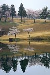 新潟県　妙高サンシャインゴルフクラブ 