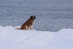 ノルウェー　ロフォーテン諸島