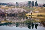 新潟県　妙高サンシャインゴルフクラブ 