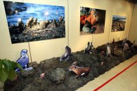 ガラパゴス写真展　会場風景