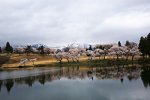 新潟県　妙高サンシャインゴルフクラブ 