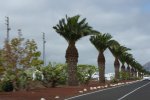 カナリア諸島　ランサローテ島