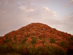 秋の風景2013 北海道・大阪・奈良・京都・兵庫・九州