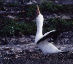 ガラパゴス諸島