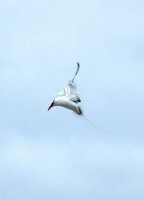 ガラパゴス諸島=Ⅱ