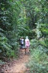 ニューカレドニア　イル･デ･パン島の植物