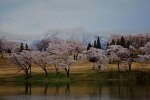 新潟県　妙高サンシャインゴルフクラブ 