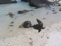 ガラパゴス諸島