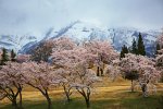 新潟県　妙高サンシャインゴルフクラブ 