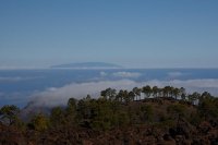 カナリア諸島　テネリフェ島