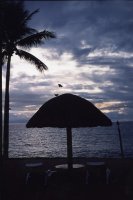 フィジー諸島共和国　ビチレブ島